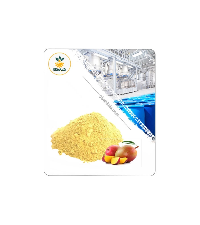 عصاره انبه خشک یا پودری