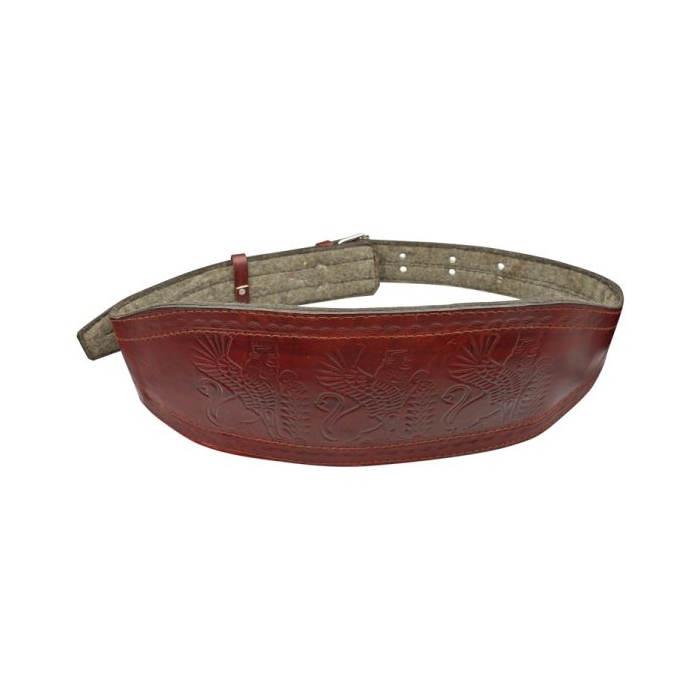 کمربند بدنسازی پارسیان مدل Hom-402M1340 بالشت دار سگکی زرشکی