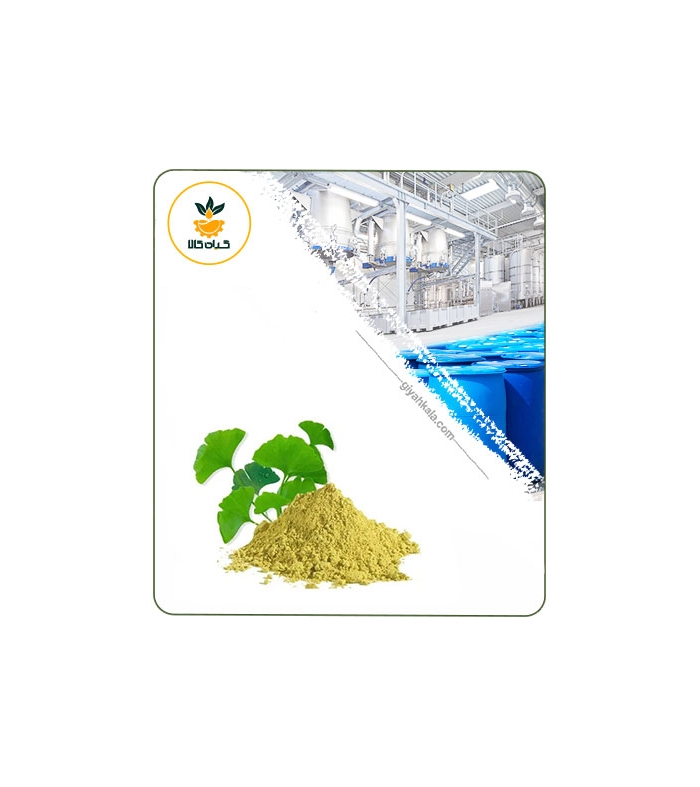 عصاره جینکو بیلوبا خشک (پودری)