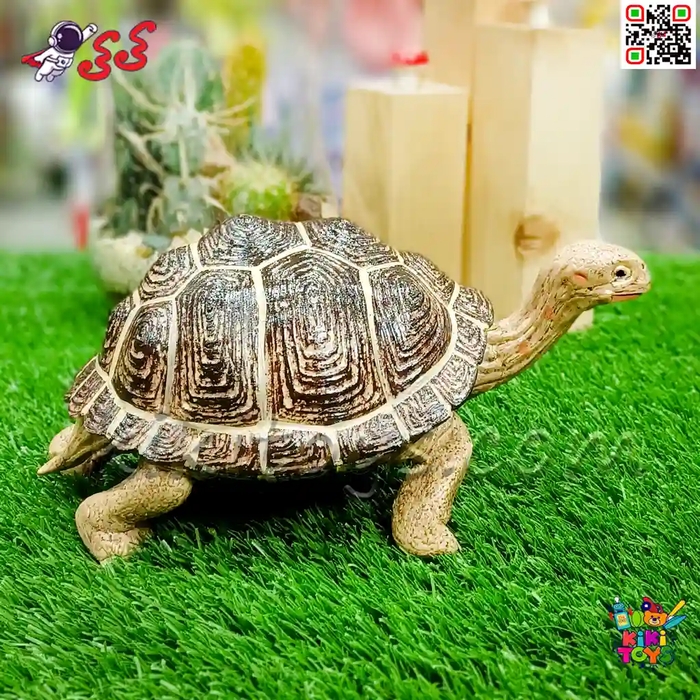 فیگور حیوانات ماکت لاک پشت اسباب بازی 1312 Land turtle figure