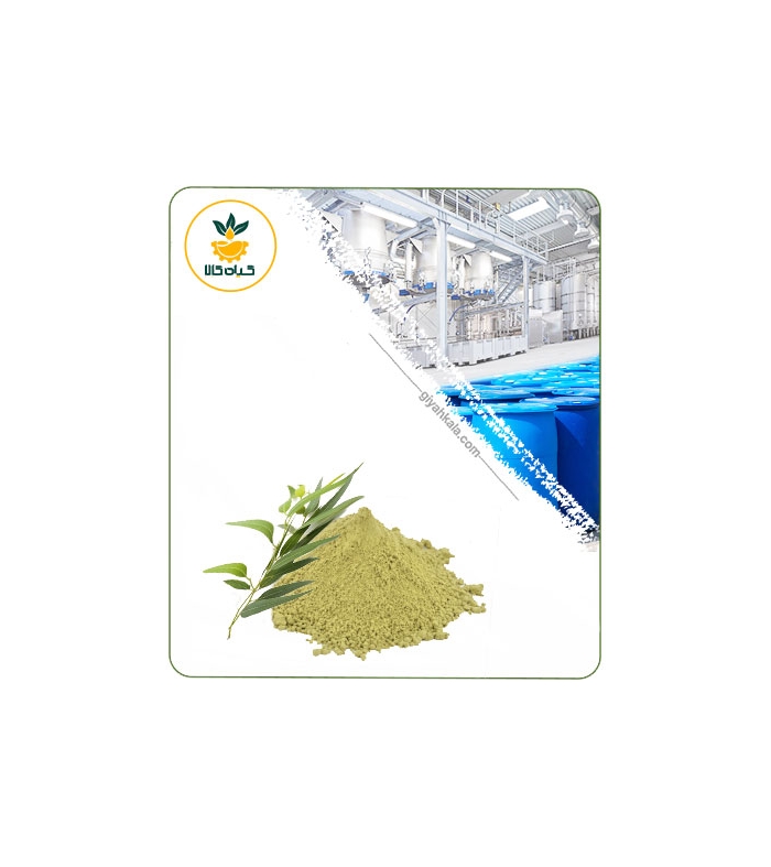 عصاره اکالیپتوس خشک یا پودری