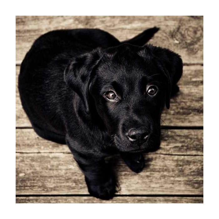 تست با URL متفاوت