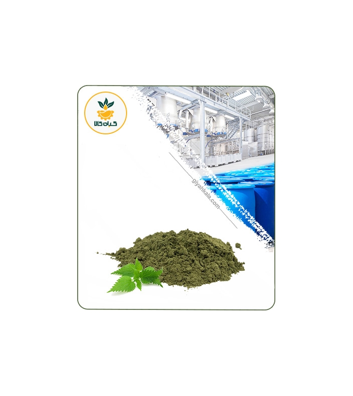 عصاره گزنه خشک (پودری)