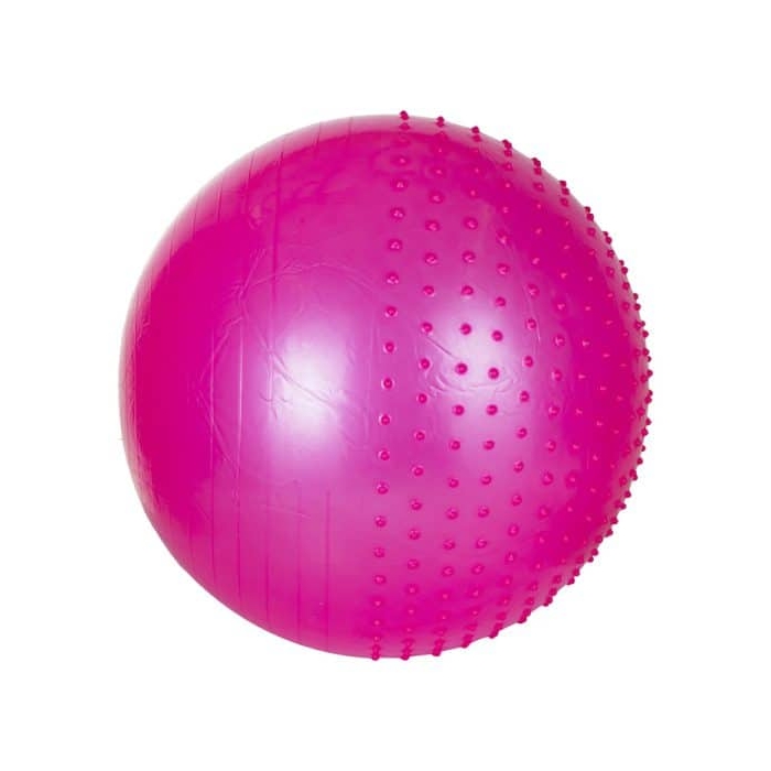 توپ پیلاتس و یوگا ریسینس مدل جیم بال قطر ۷۵ سانتی متر بهمراه تلمبه