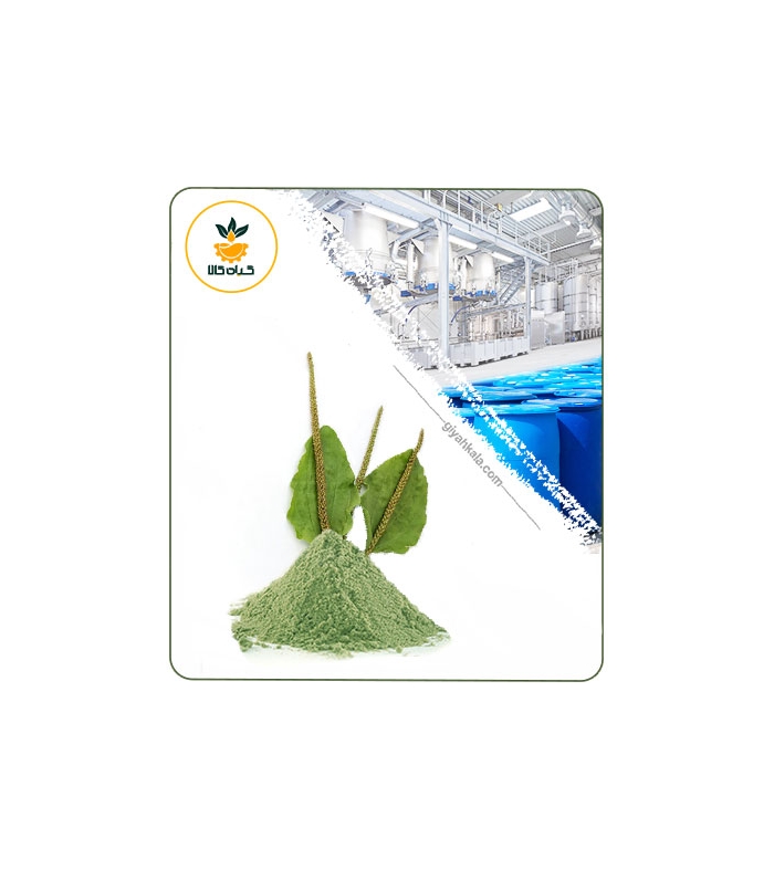 عصاره بارهنگ خشک (پودری)