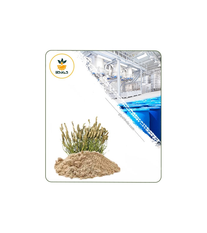 عصاره اسفرزه خشک یا پودری