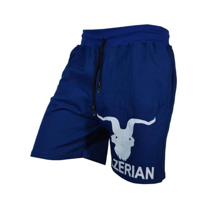 شلوارک ورزشی مردانه دن بیلزریان مدل SPL-Power0011 آبی تیره