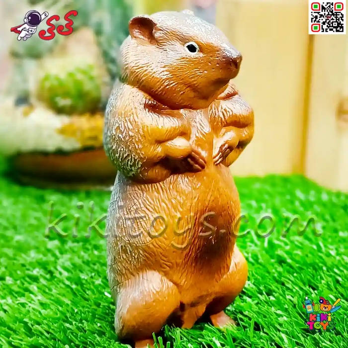 فیگور حیوانات ماکت سنجاب زمینی و مارموت اسباب بازی Marmot figure 1011