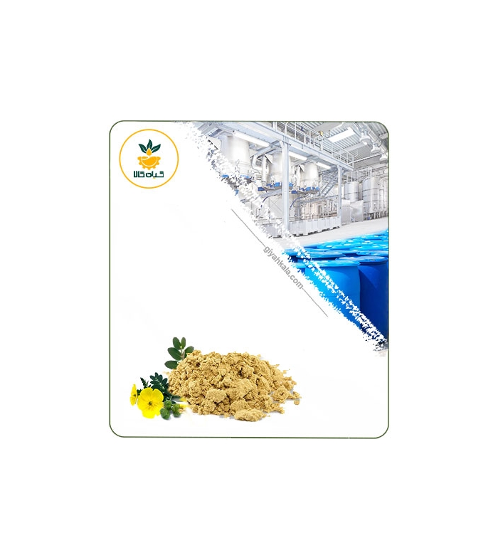 عصاره خارخاسک خشک (پودری)