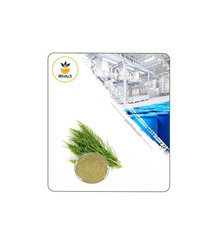 عصاره دم اسب خشک (پودری)