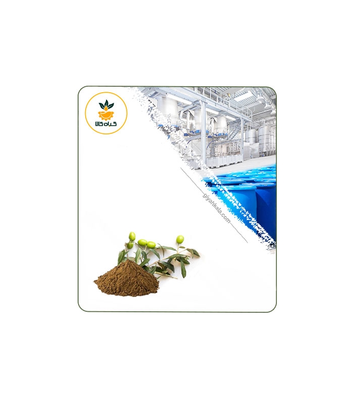 عصاره برگ زیتون خشک یا پودری