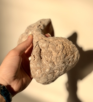 تل پریچهر کرم