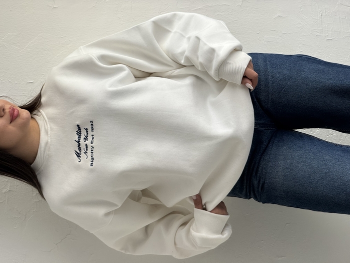 دورس منهتن a2050