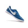 کفش فوتسال نایک پریمیر سالا Nike premier sala 