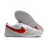 کفش فوتسال نایک پریمیر سالا Nike premier sala 