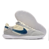 کفش فوتسال نایک استریت گتو Nike Street Gato 