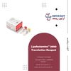 Lipofectamine™ 3000 Transfection Reagent