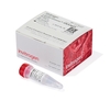 Lipofectamine™ RNAiMAX Transfection Reagent 