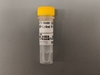 mouse monoclonal hrp linked antibody