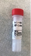 rabbit monoclonal hrp linked antibody