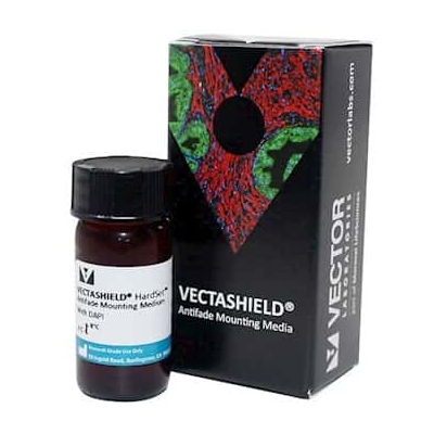  vectashield® antifade mounting media with dapi