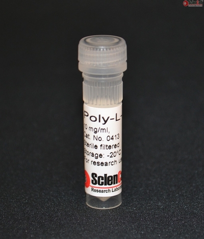 Poly-L-Lysine 1 mg/ml positively charged amino acid