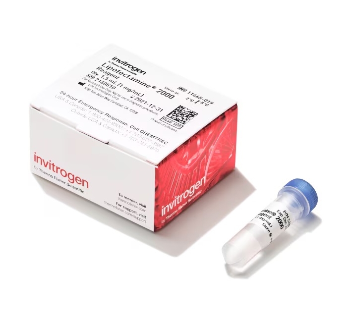 Lipofectamine™ 2000