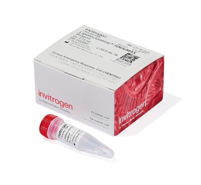 Lipofectamine™ RNAiMAX Transfection Reagent 