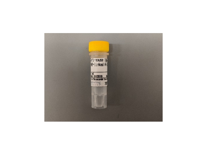 mouse monoclonal hrp linked antibody