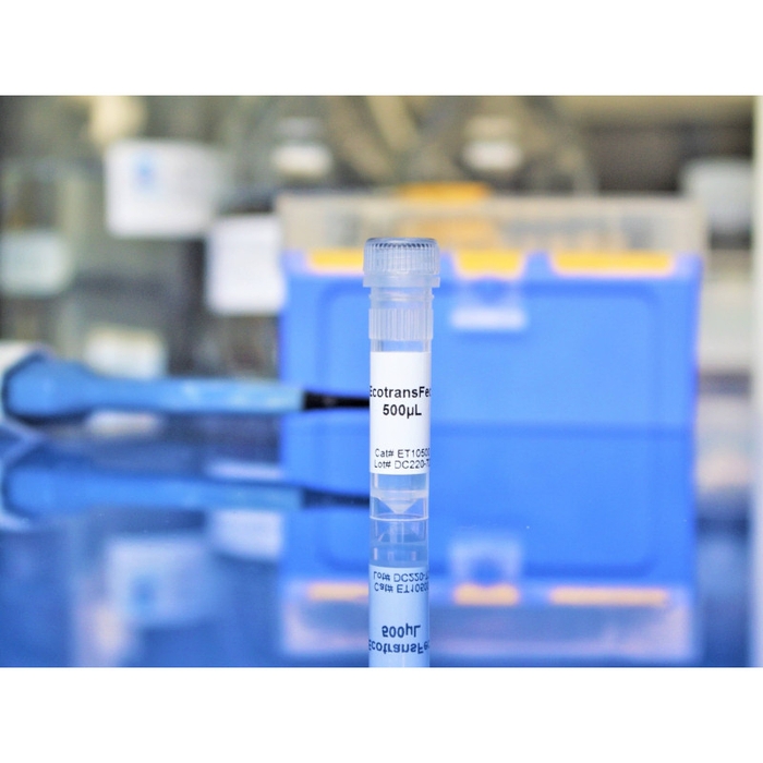 EcoTransfect Transfection Reagent