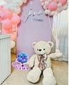 teddy birthday design