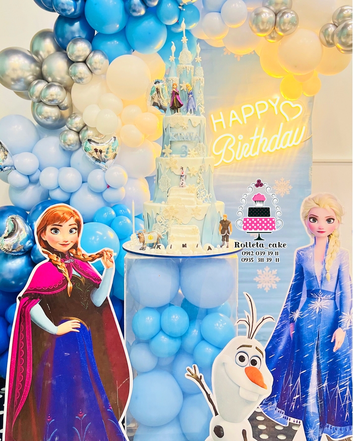 frozen design party