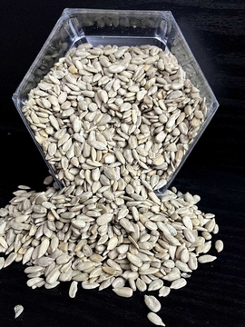 مغز آفتابگردان ۱۸۵ گرمی تازه و مغذی