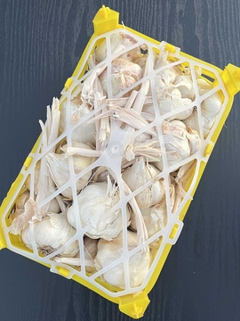 سیر خشک همدان دو کیلویی خالص