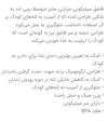 قاشق حرارتی