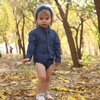 بادی مجلسی لی 