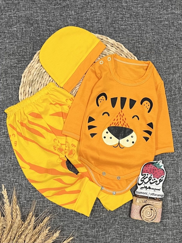 سه تیکه ببر