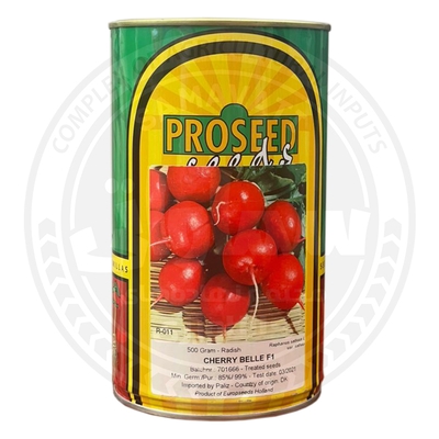 بذر تربچه PROSEED