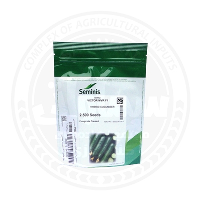 بذر خیار ویکتور سمینیس