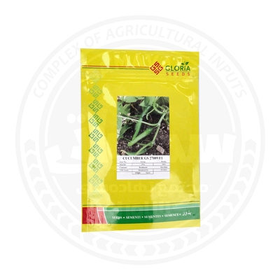 بذر خیار GLORIA