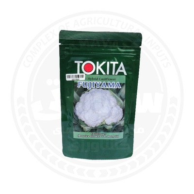 بذر گل کلم TOKITA