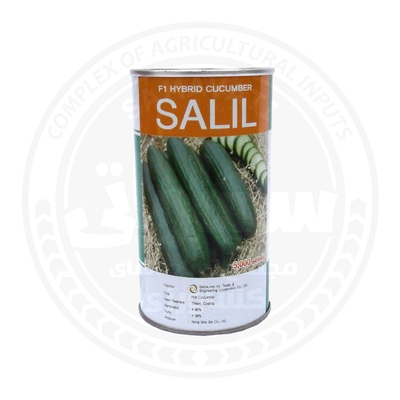 بذر خیار SALIL