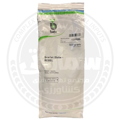 بذر تربچه bejo