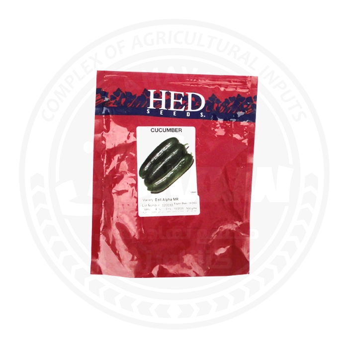 بذر خیار HED