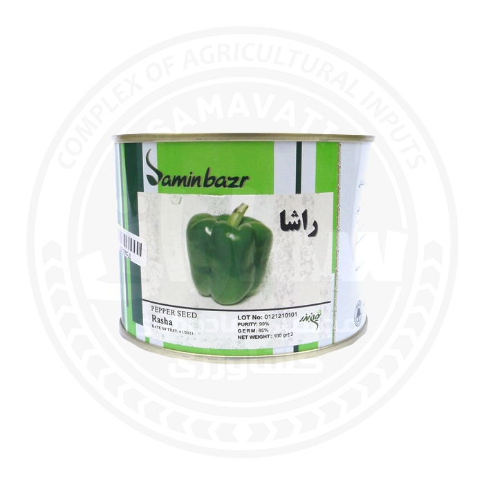 بذر فلفل دلمه راشا